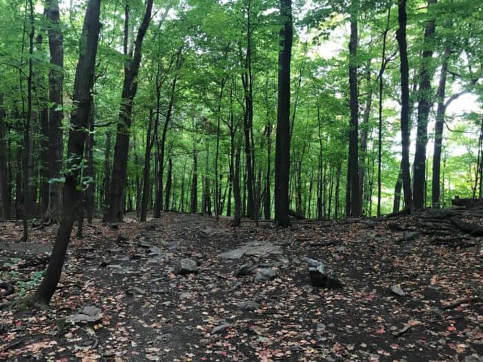 Montreal, Quebec, Mount Royal