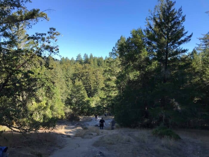 Big Basin Redwoods State Park, California, United States, Slippery Rock