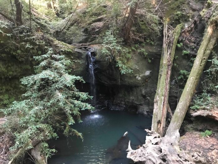 Big Basin Redwoods State Park, California, United States, Sempervirens Falls