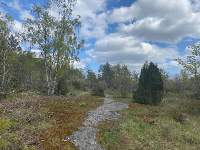 Vagnhärad Runt, Sweden, Lånestaheden, Schweden