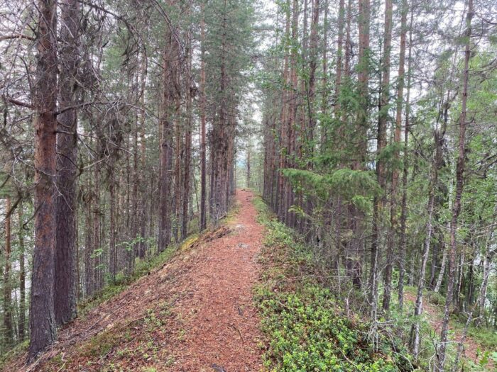 Vuollerim, Lappland, Sweden