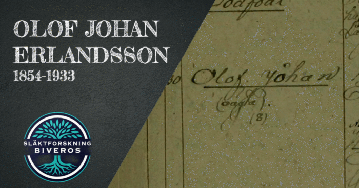 Olof Johan Erlandsson, 1854-1933, Himmelsberga, Långlöt, Öland, Släktforskning, Släktträd, Släkthistoria, Genealogy, Swedish Ancestry, Heritage, Sweden, Sverige