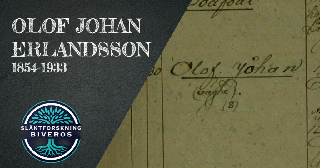 Olof Johan Erlandsson, 1854-1933, Himmelsberga, Långlöt, Öland, Släktforskning, Släktträd, Släkthistoria, Genealogy, Swedish Ancestry, Heritage, Sweden, Sverige