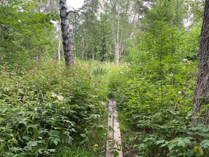 Torpfjärden Bird Watching Tower, Åland, Finland, Spång