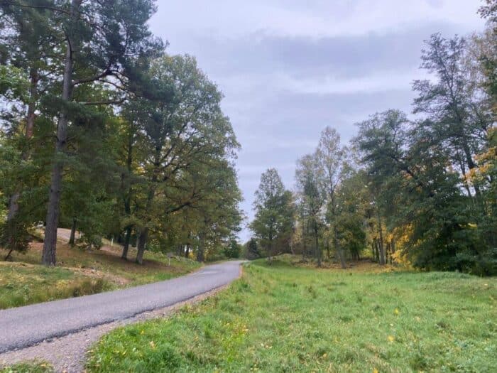 Sigurdsristningen, Södermanland, Sweden