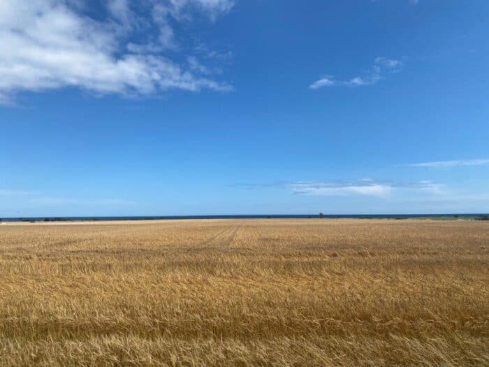 Gräsgård, Öland, Sweden