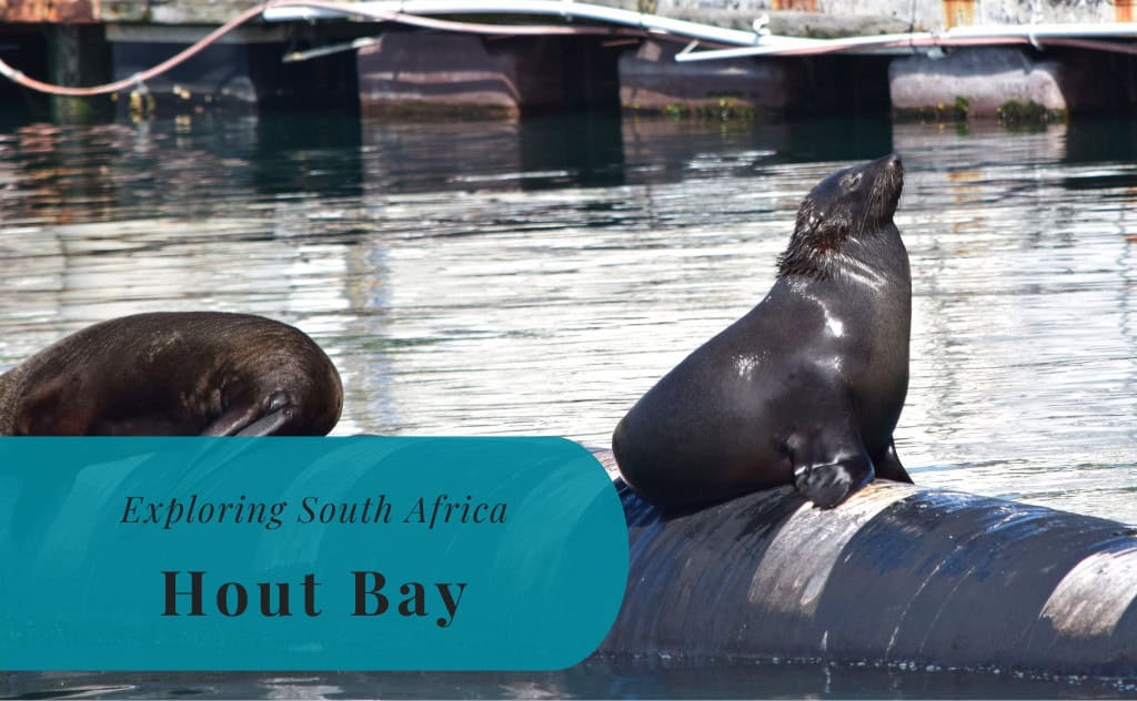 Hout Bay, Exploring South Africa