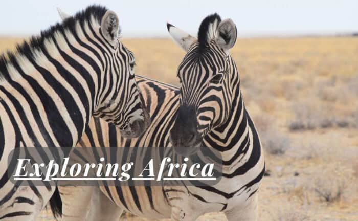 Exploring Africa