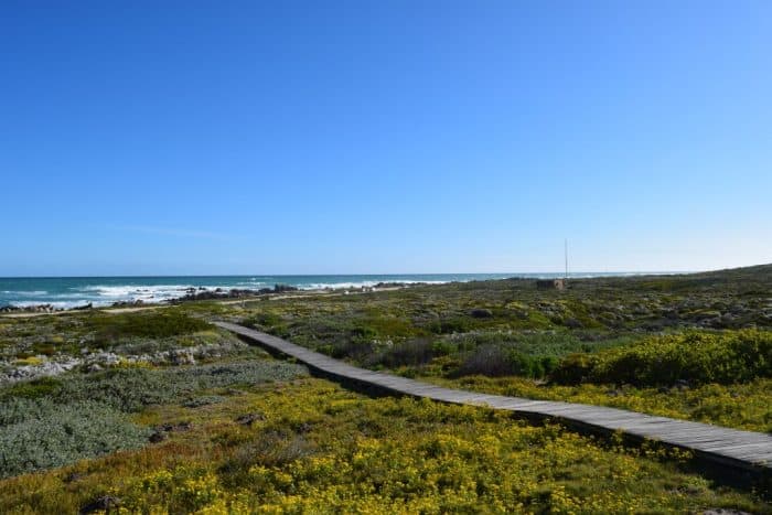 L'Agulhas, South Africa