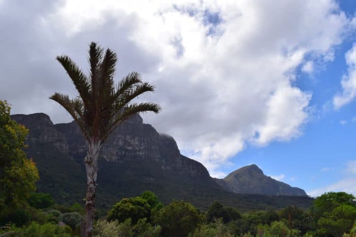 Kirstenbosch Botanical Garden, Cape Town, South Africa