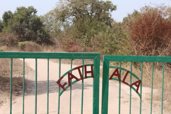 Fathala Wildlife Reserve, Senegal