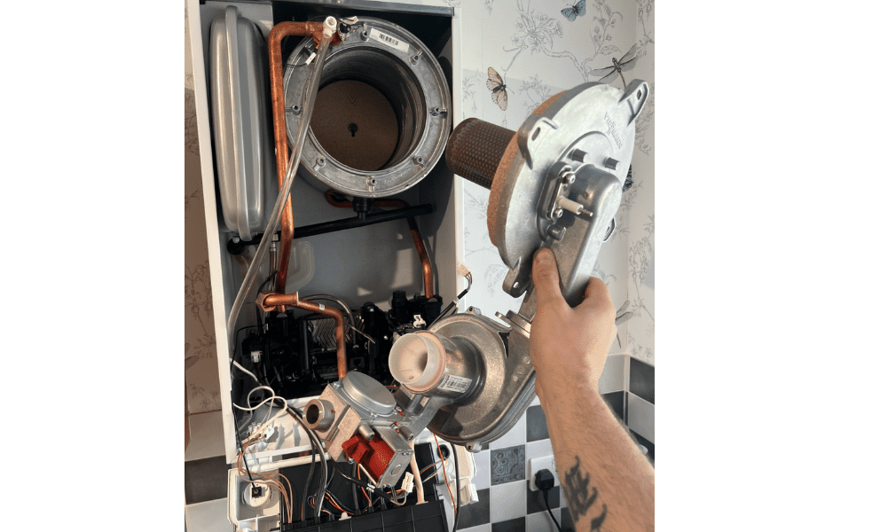 viessmann boiler service
