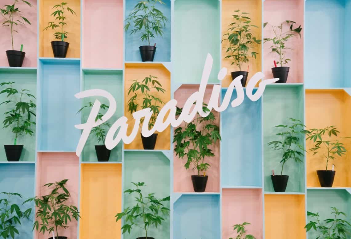 Nuancier couleurs paradiso