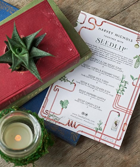 Branding design Seedlip