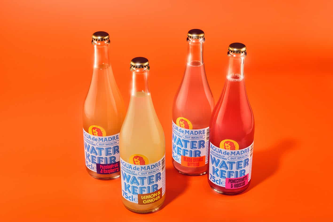 agua de madre - kefir