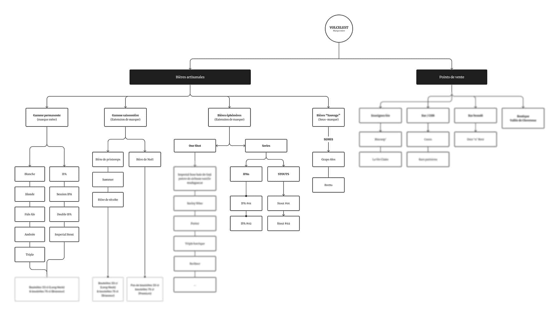 Volcelest Brand Architecture