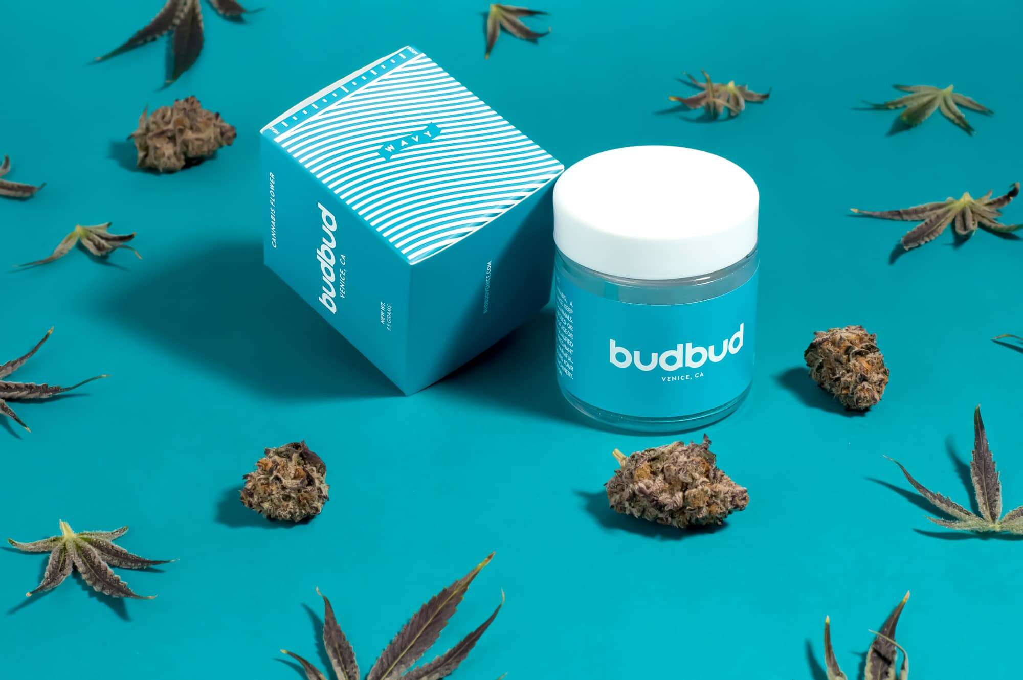Budbud Venice