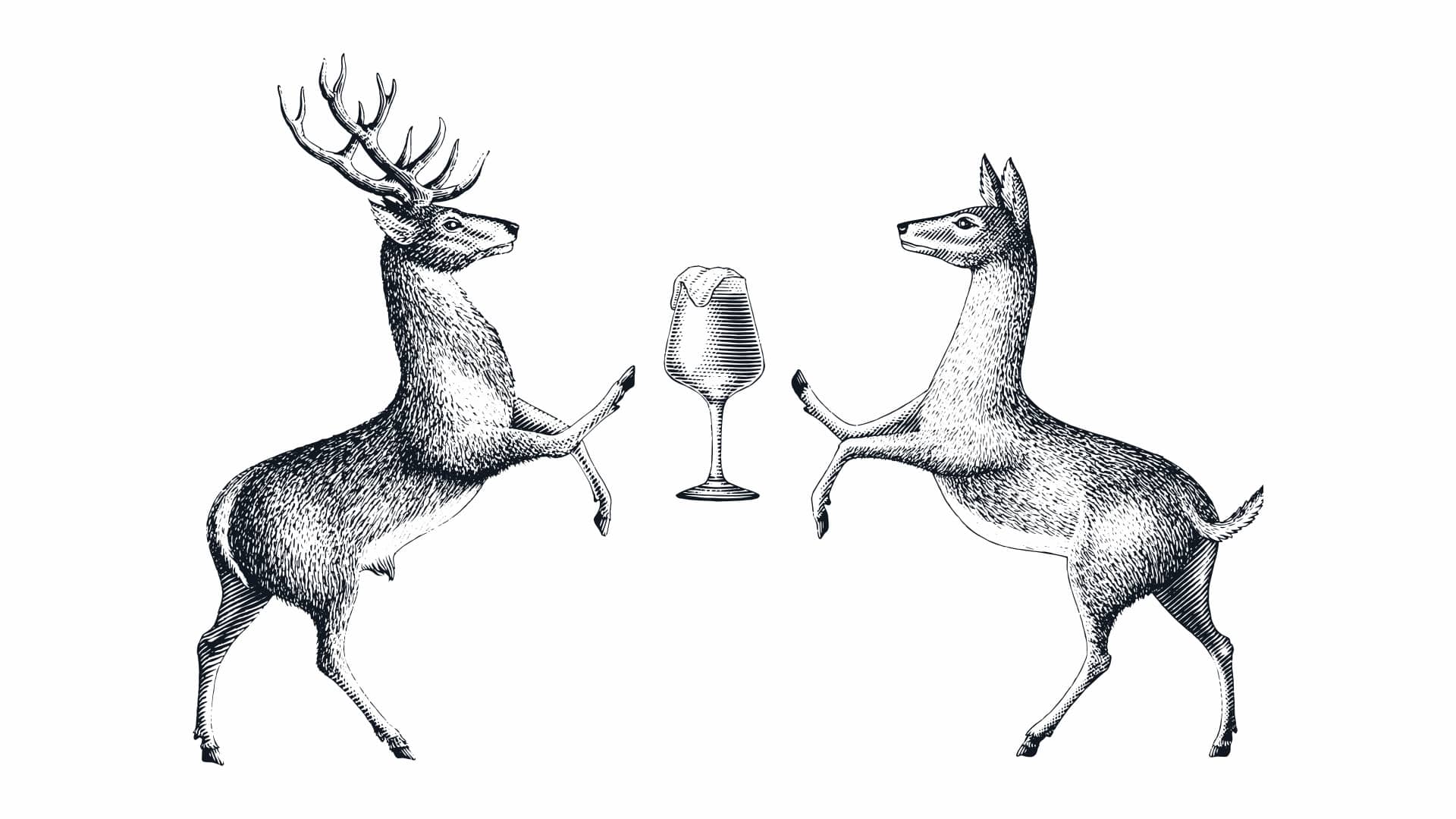 Stag illustration for Volcelest rebranding
