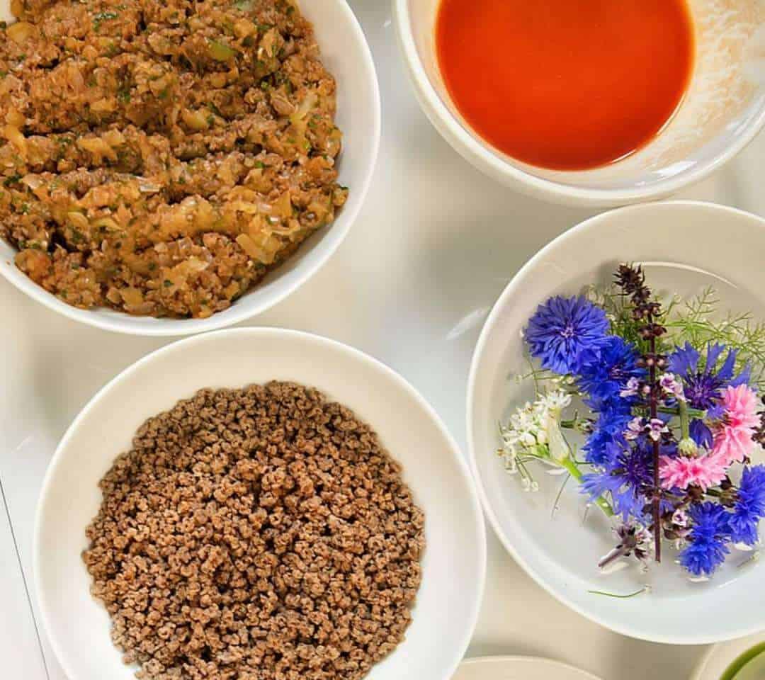 Aliment à base de plantes et de drêche