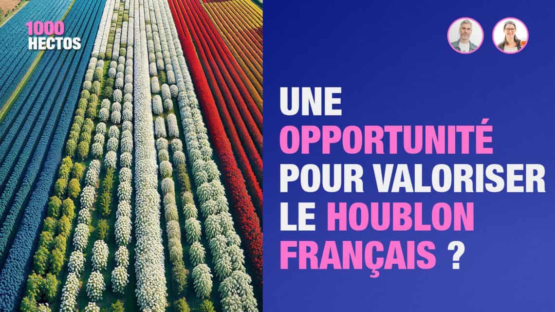 une nouvelle réglementation européenne qui interroge sur les pesticides dans le houblon
