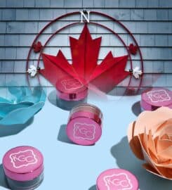 Kawaii Girl Cosmetics