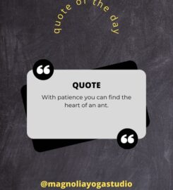 Magnolia Yoga Studio