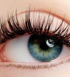 Elite Lash Studio