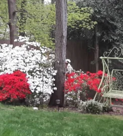 Ms. Elsie’s Caribbean Bed & Breakfast