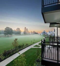 Salamander Collection’s 