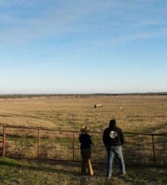 Ratcliff Premium Meats