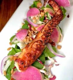 Chimaeats (Chima | Eats + Travel)