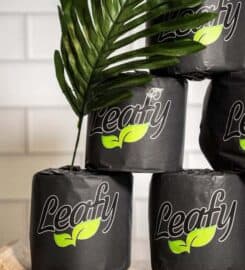 Leafy Products 