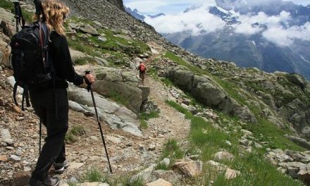 La importancia de un buen calzado, o en su defecto plantillas