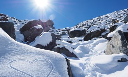 Protegerse en todo momento es necesario