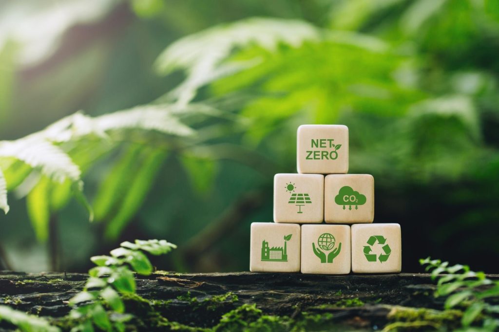 Net Zero: Conceito, Aplicações e Relevância para as Empresas