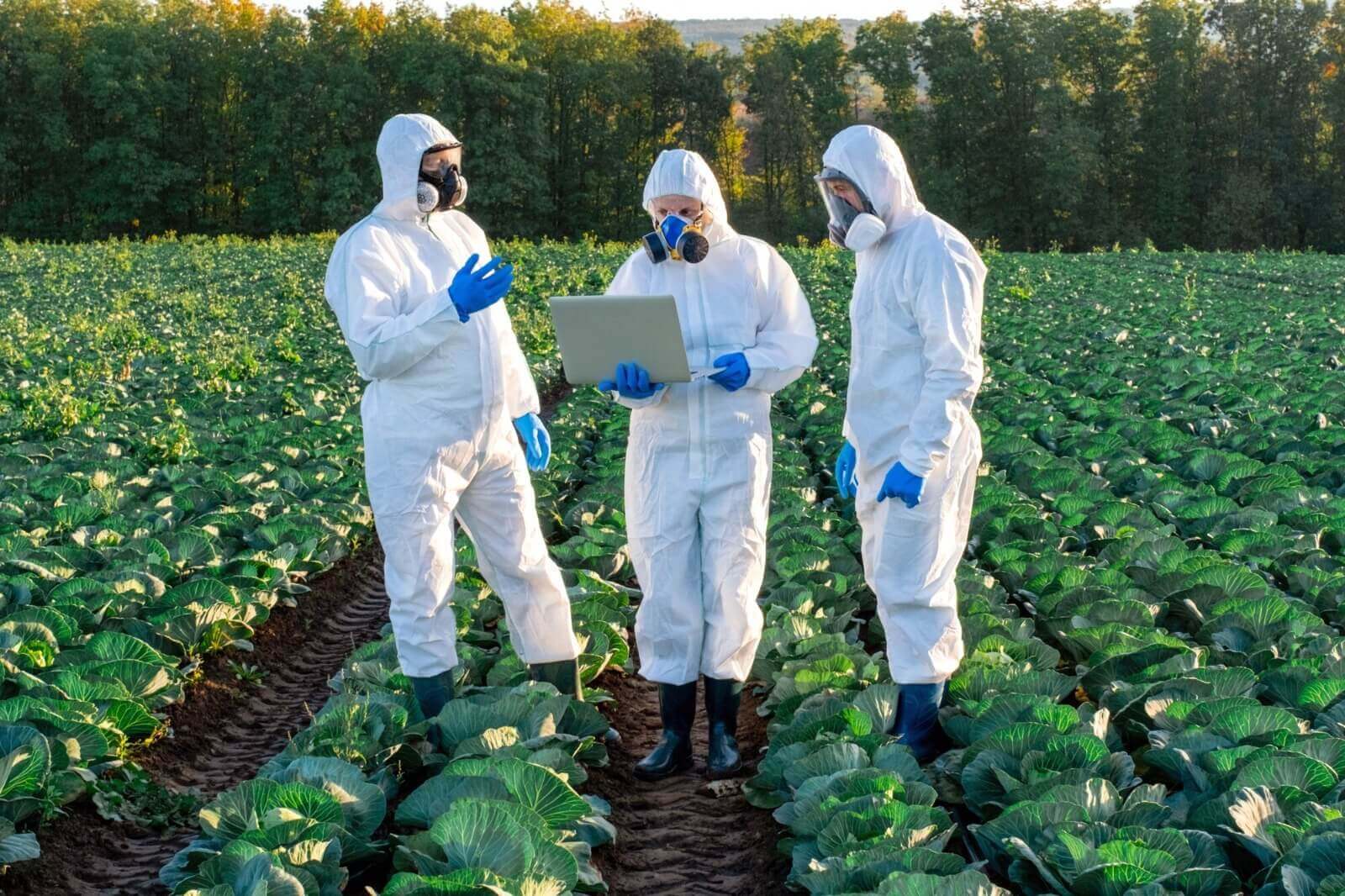 RDC ANVISA nº 998/2025: a nova fronteira da proteção à saúde na exposição a agrotóxicos