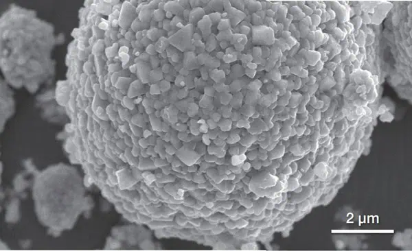 SEM image: Battery cathode particle