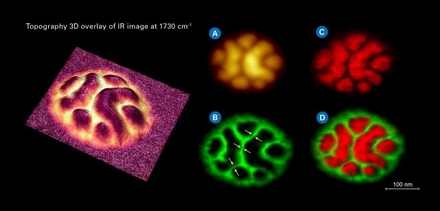 PS-b-PMMA block copolymer