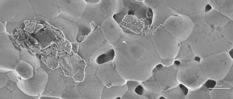 FEG-SEM image of a fuel cell