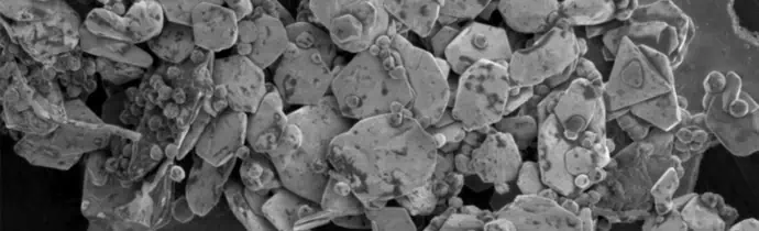 Why use FEG-SEM