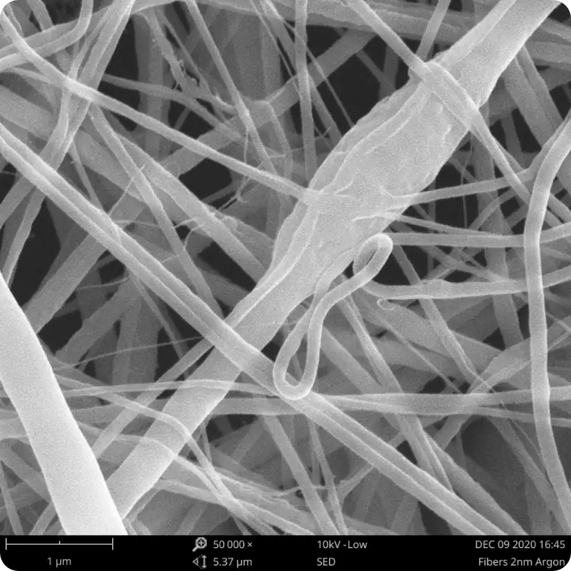 Nanofibers SEM image with 2nm platinum coating