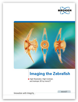 Bruker Zebrafish Micro-CT Brochure