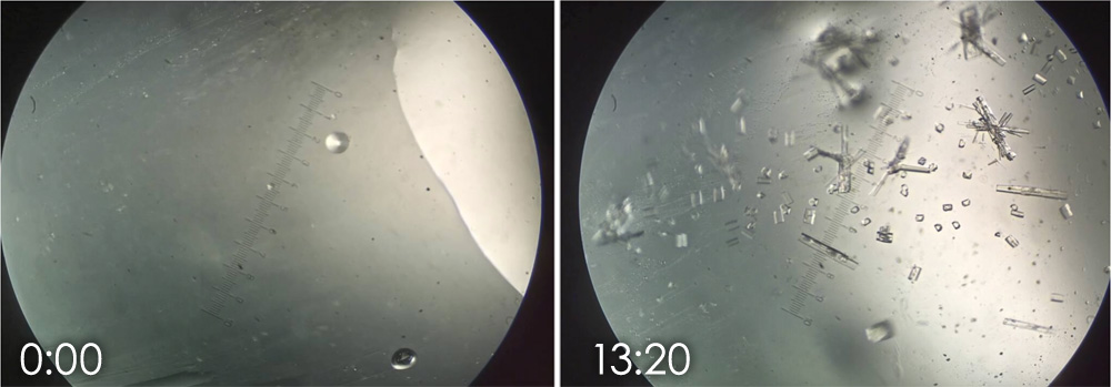 Crystallisation with Chaperones