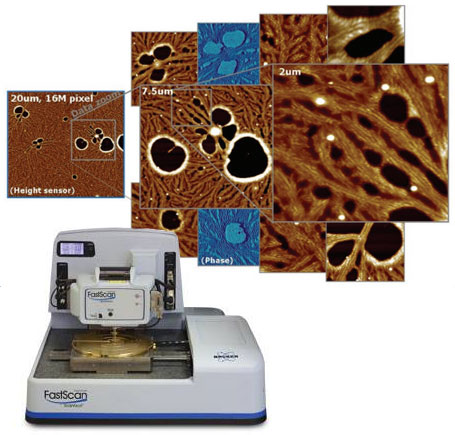 Bruker Dimension FastScan AFM