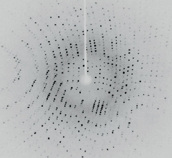 Lysozyme diffraction image