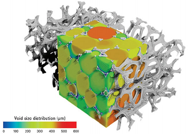 Pore Size Distribution Analysis With Micro-CT