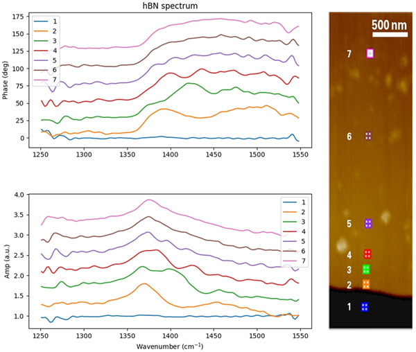 Nanoscale FTIR in 2D Materials