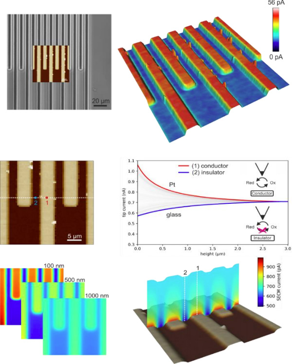 Platinum Micro-electrodes