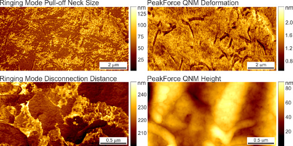 Neck Formation in Soft Matter