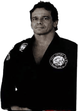 Professor Rogerio Lima Santos 1 1645372248898